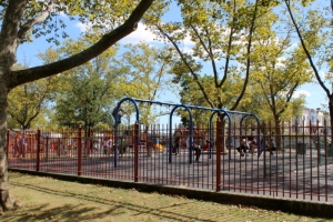 swing park